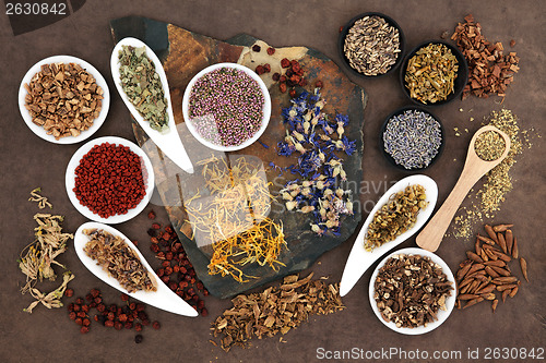 Image of Herbal Medicine