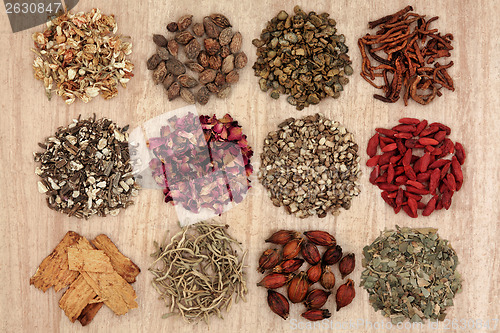 Image of Chinese Herbal Health