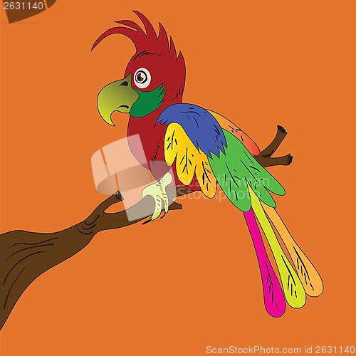 Image of parrot