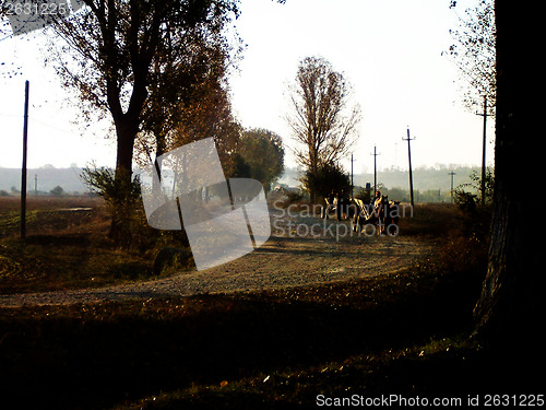 Image of Wagon on rural road