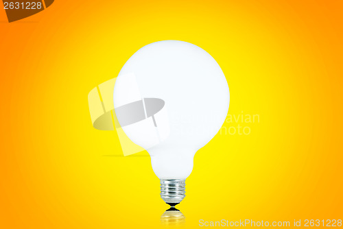 Image of White bulb