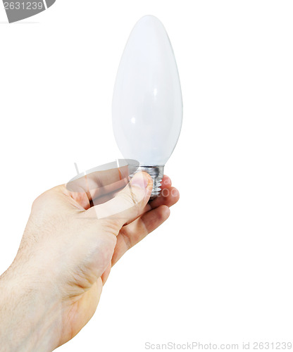 Image of White bulb