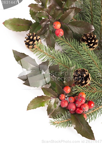 Image of Christmas seasonal border of holly, mistletoe, sprigs with pine cones