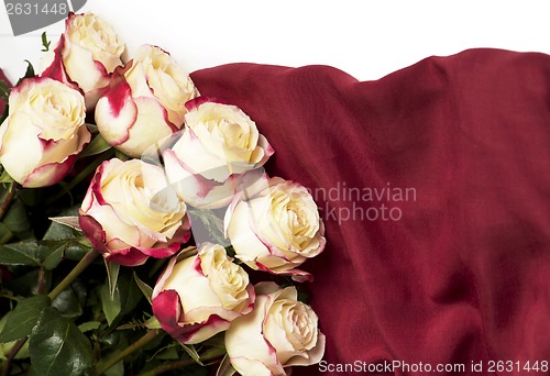 Image of  roses