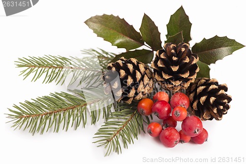 Image of Christmas seasonal border of holly, mistletoe, sprigs with pine cones