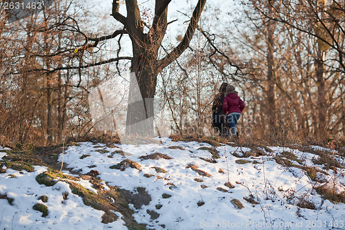 Image of The walk