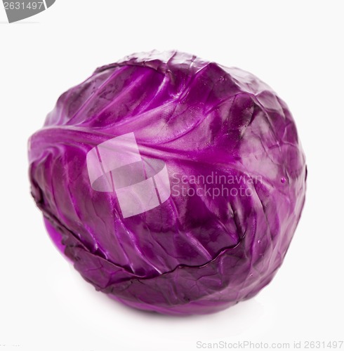 Image of cabbage