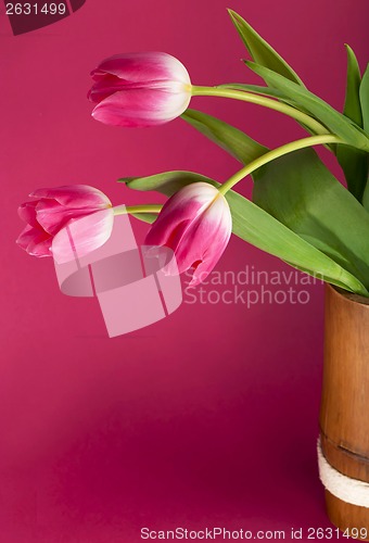 Image of Bouquet of tulips