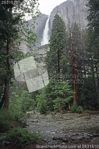 Image of Yosemite National Park