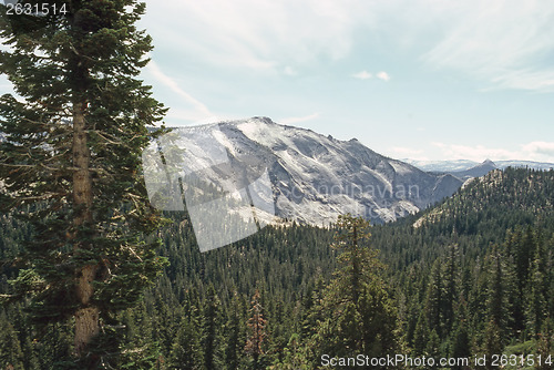 Image of Yosemite National Park