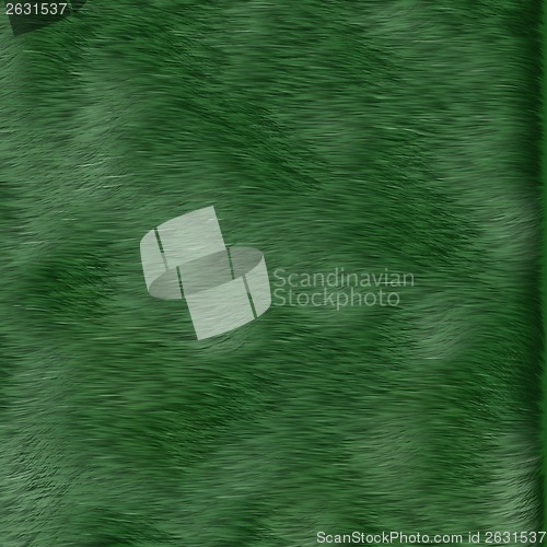 Image of texture of green grass