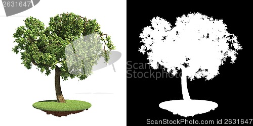 Image of Green Tree Isolated on White Background.