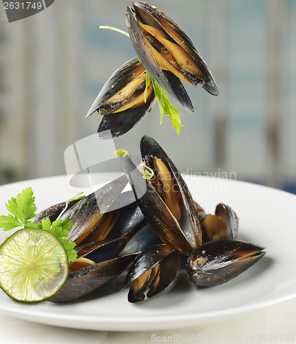 Image of Mussels  With Garlic Sauce