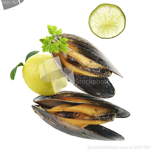 Image of Mussels  With Garlic Sauce