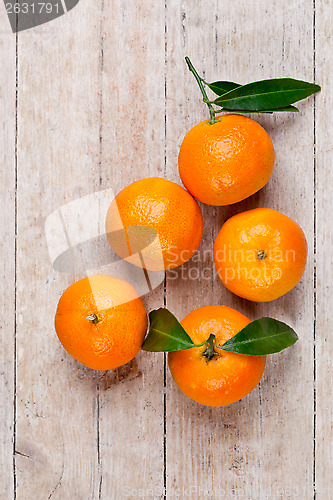 Image of five tangerines with leaves