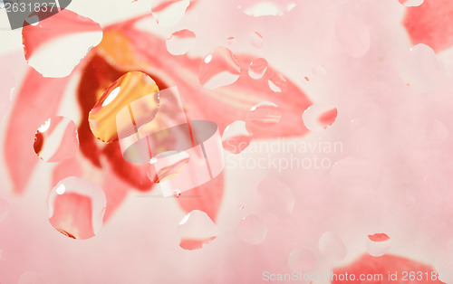Image of color abstract background with water drops