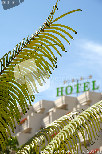 Image of Palm and hotel