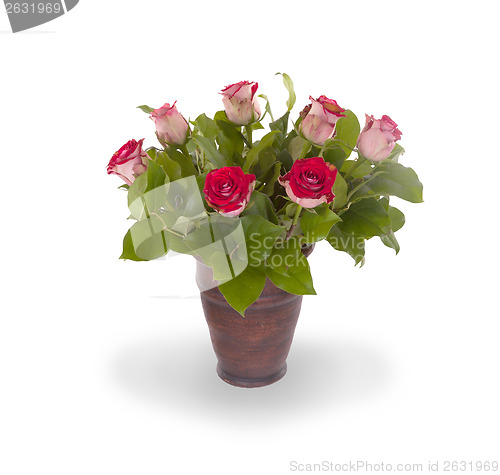 Image of Red roses in ceramic pot