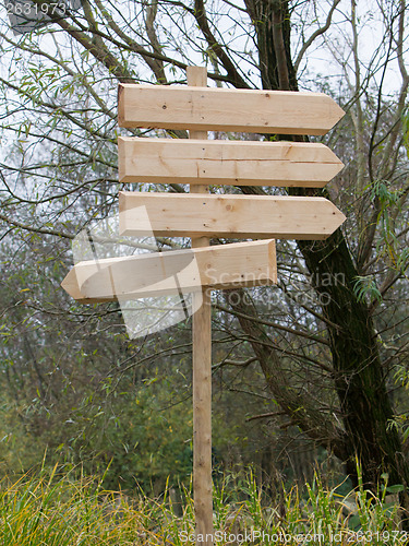 Image of Wooden pointer in a forrest