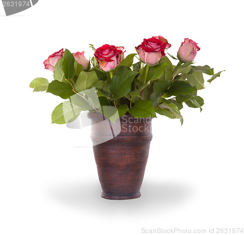 Image of Red roses in ceramic pot