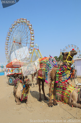 Image of ornate camels and ferris wheels at Pushkar camel fair