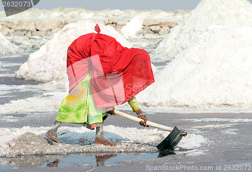 Image of Indian woman mined salt in salt lake Sambhar