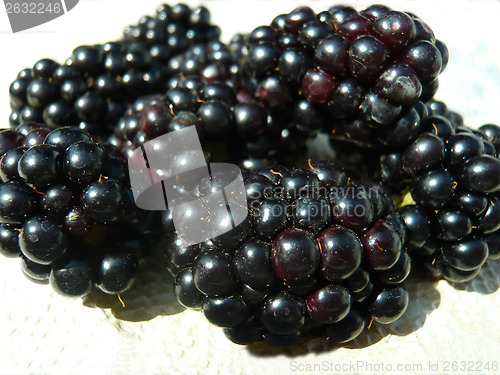 Image of Blackberries