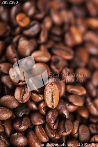 Image of coffee beans