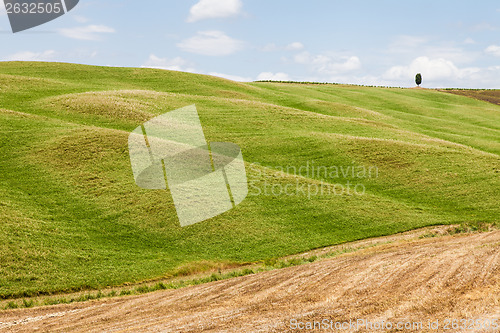 Image of Tuscany agriculture