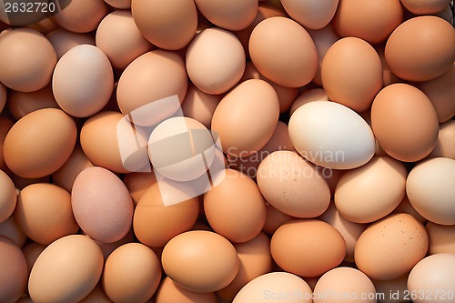 Image of Heap of chicken eggs