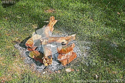 Image of Remains of a bonfire on the green grass 