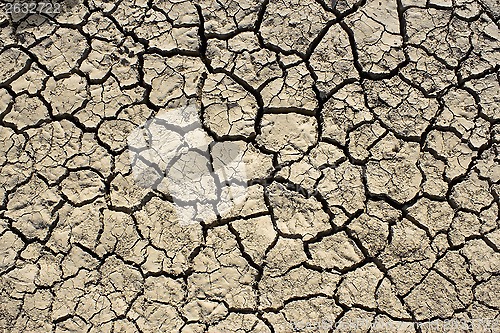 Image of Dried soil with cracks