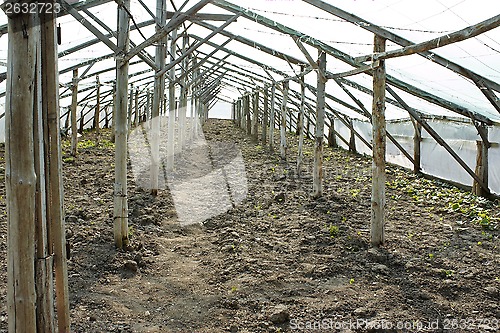 Image of Empty wooden greenhouse before planting seedlings