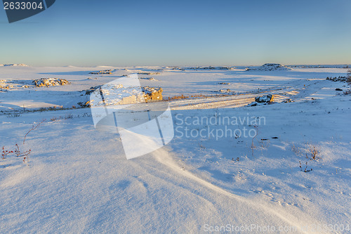 Image of Colorado prairie in winter
