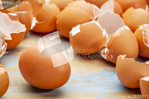 Image of chicken egg and eggshels