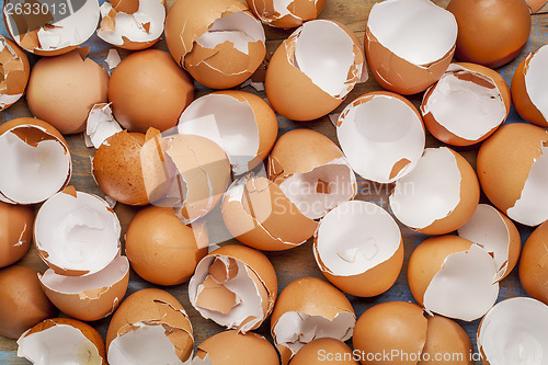 Image of broken chicken eggshels