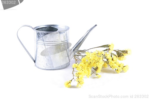 Image of Yellow dried flowers in an iron watering can