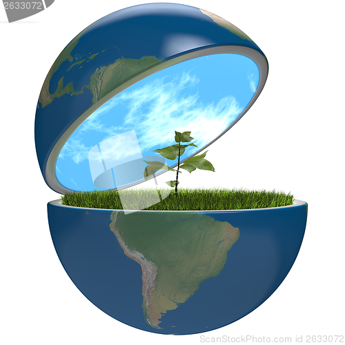 Image of Plant inside planet