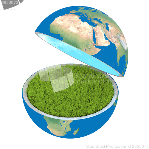 Image of Opening planet