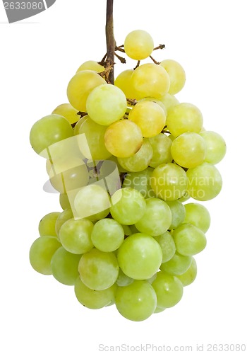 Image of Grapes