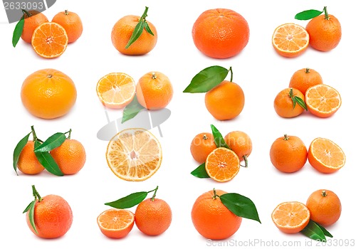 Image of Mandarins