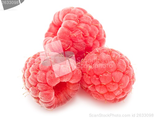 Image of Fresh raspberries