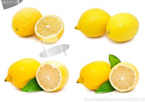 Image of Lemon