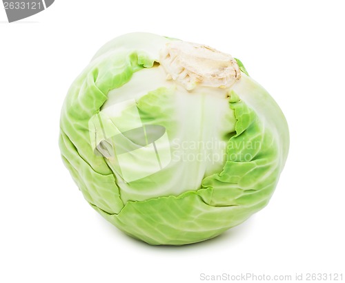 Image of Cabbage