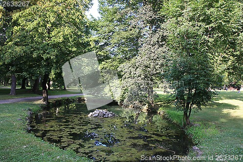 Image of Pond in the park