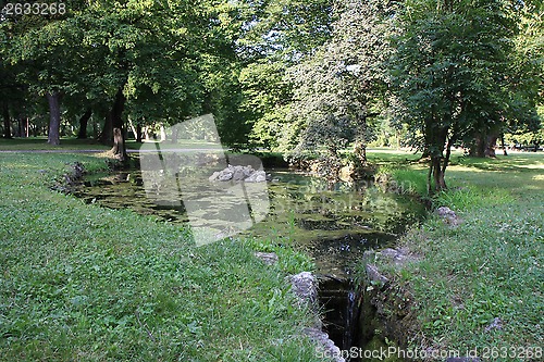 Image of Pond in the park