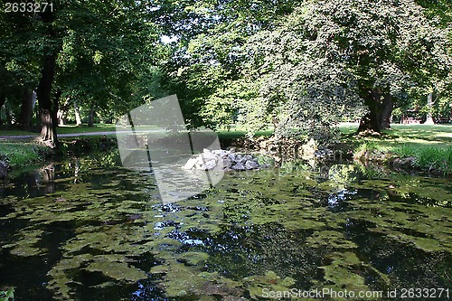 Image of Pond in the park