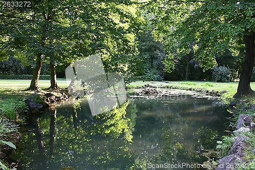 Image of Pond in the park