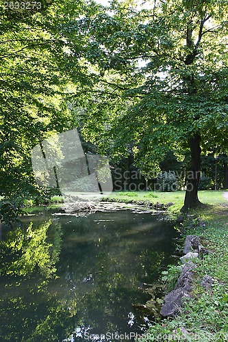 Image of Pond in the park