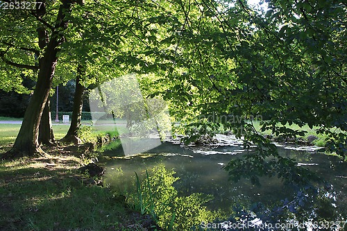 Image of Pond in the park